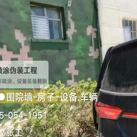 温州数码迷彩漆施工